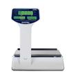 Balanza Digital Comercial Systel Croma 31 Kg con Pantalla Alta