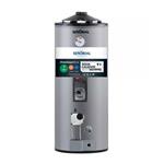 Termotanque Dual Señorial 50 Lt Gas Eléctrico