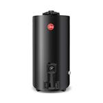 Termotanque a Gas Rheem 80 Lt TGNP080RH Conexión Superior