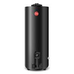 Termotanque a Gas Rheem 120 Lt TGNP120RH Conexión Superior