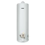 Termotanque a Gas Orbis 160 Lt 0160GO Carga Superior