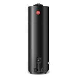 Termotanque a Gas Rheem 150 Lt TGNP150RH Conexión Superior