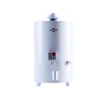 Termotanque a Gas Sherman 50 Lt TPGP050MSH13 Conexión Superior