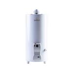 Termotanque a Gas Saiar 80 Lt TPG080MSA Conexión Superior