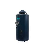 Termotanque a Gas Eskabe 52 Lt H-800 Hybrid4 Conexión Superior