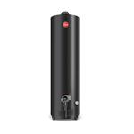 Termotanque a Gas Rheem 160 Lt APG160NRH07 Conexión Superior