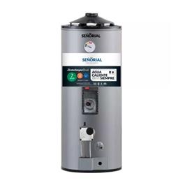 Termotanque Dual Señorial 50 Lt Gas Eléctrico