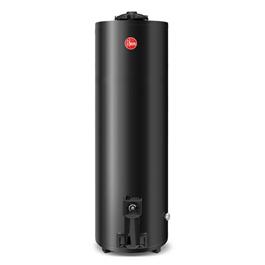 Termotanque a Gas Rheem 150 Lt TGNP150RH Conexión Superior