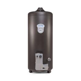 Termotanque a Gas Escorial 80 Lt Geiser Conexión Superior
