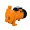 Bomba de Agua Centrifuga Lusqtoff CPM158 0.75 Hp
